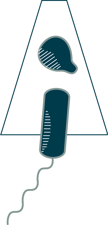 Atlas of Bacterial and Archaeal Cell Structure home